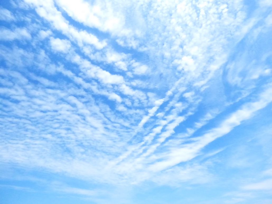 That Moment in Mackerel Sky Fishers Island Conservancy