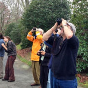 Bird Count birders