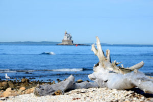 Fishers Island by Vincent Scarano