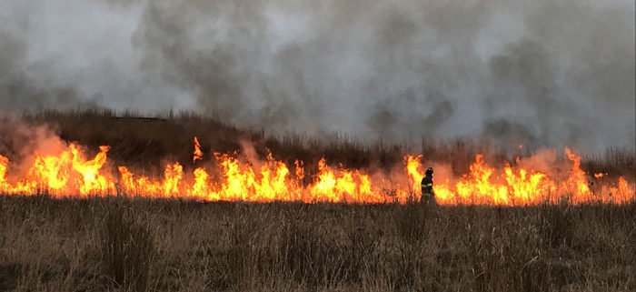 controlled burn