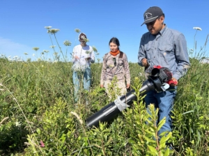 Undergraduate students Naomi Zahn, Francisco Salgado and graduate student Catalina Berry collecting arthropod samples